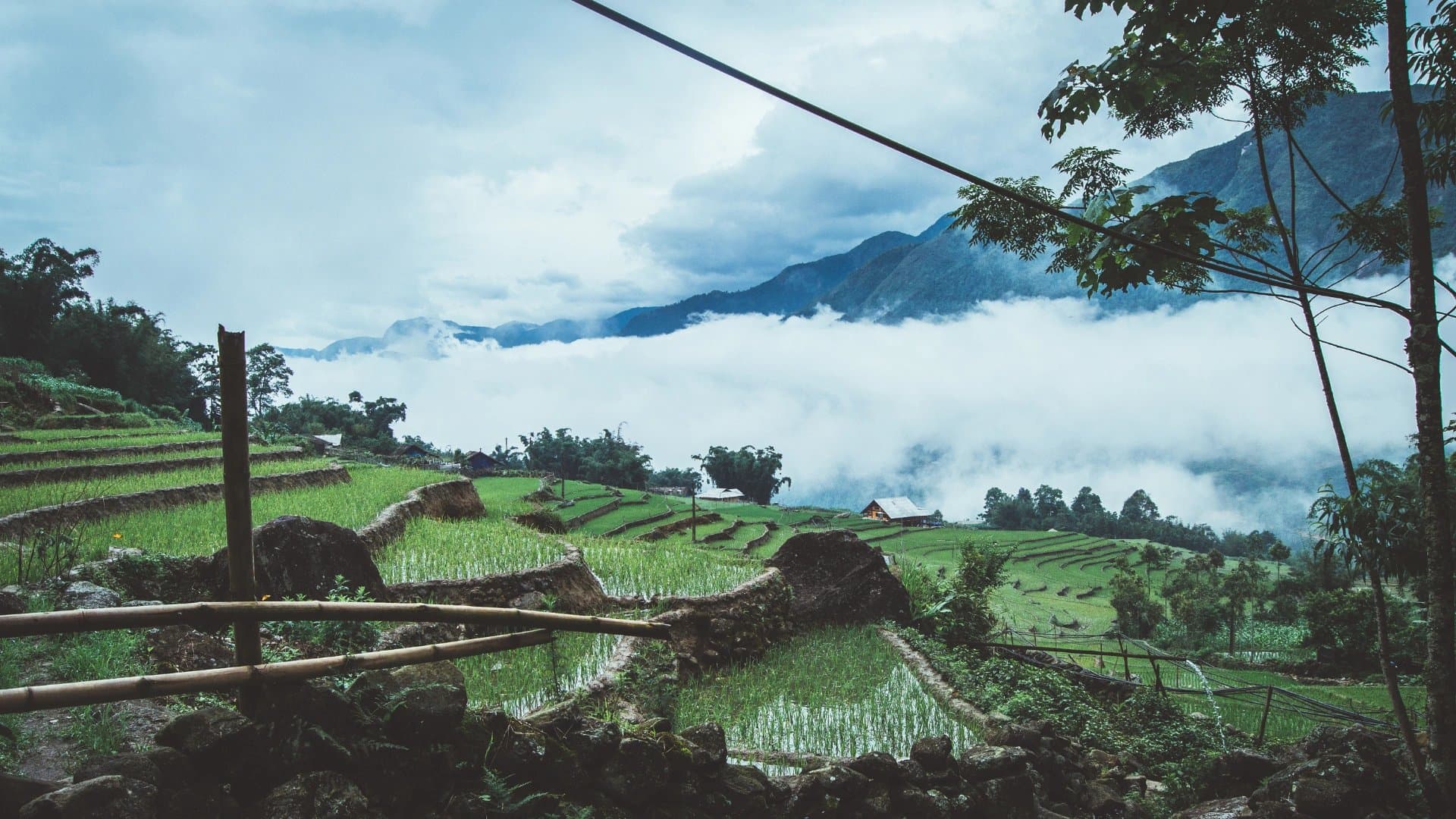 沙壩梯田 Sapa Terraces 北越山區稻作景觀