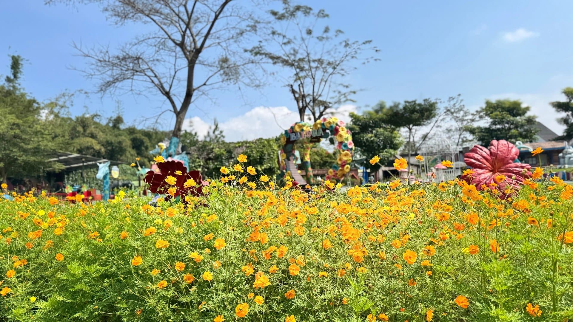 大叻花卉園 Dalat Flower Gardens 花都名勝